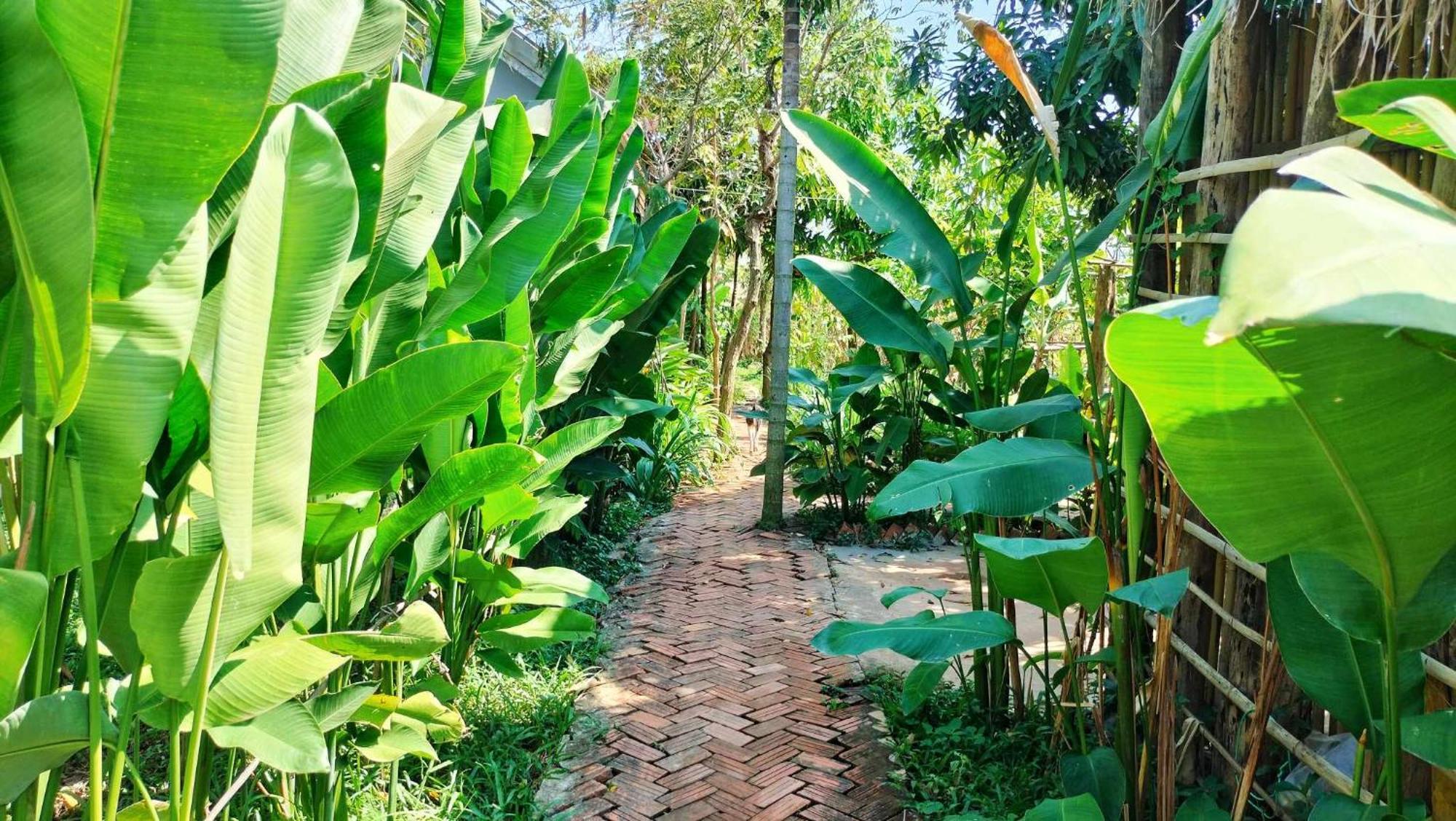 Urban Farmhouse Siem Reap Bagian luar foto