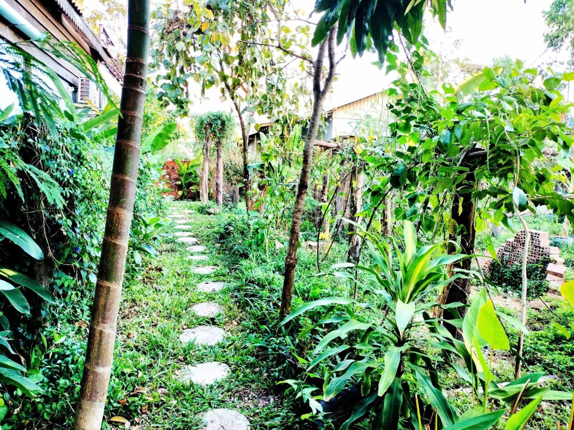Urban Farmhouse Siem Reap Bagian luar foto