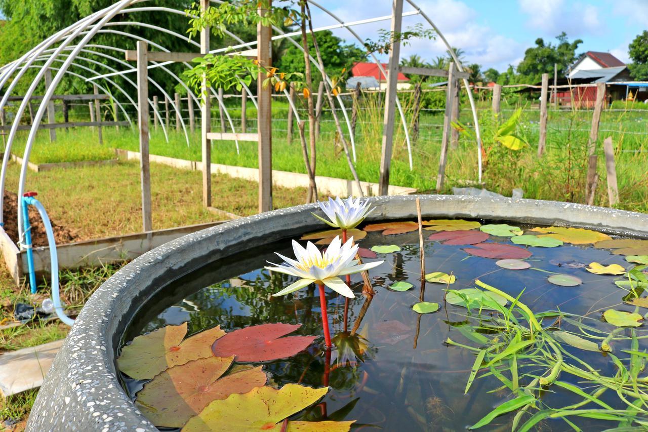 Urban Farmhouse Siem Reap Bagian luar foto
