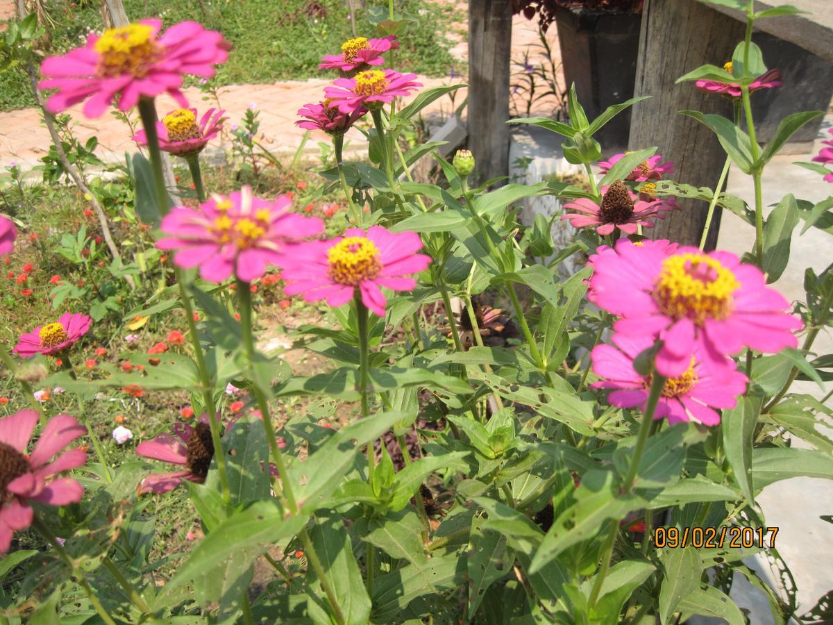 Urban Farmhouse Siem Reap Bagian luar foto